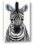 Picture of Zebra Babe