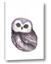Picture of Little Farm Owl