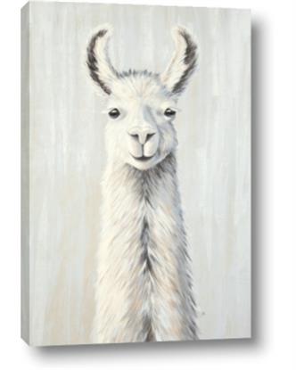 Picture of Brown and White Llama
