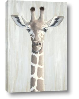 Picture of Close-up Giraffe