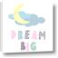 Picture of Dream Big