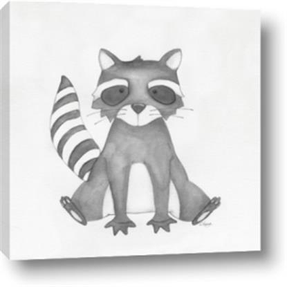 Picture of Nursery Raccoon