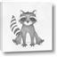 Picture of Nursery Raccoon