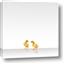 Picture of Together Ducks