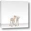 Picture of Together Lambs