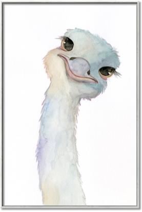 Picture of Ostrich Peekaboo