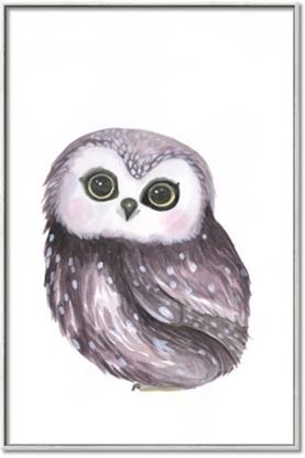 Picture of Little Farm Owl