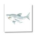 Picture of Great White _GroupedProduct_Square_Mini_ _GroupedProduct_Square_Canvas_