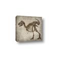 Picture of Dino Skeleton I _GroupedProduct_Square_Mini_ _GroupedProduct_Square_Canvas_