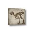 Picture of Dino Skeleton I _GroupedProduct_Square_Mini_ _GroupedProduct_Square_Canvas_