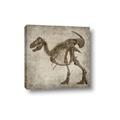 Picture of Dino Skeleton I _GroupedProduct_Square_Mini_ _GroupedProduct_Square_Canvas_