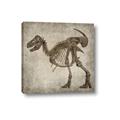 Picture of Dino Skeleton I _GroupedProduct_Square_Mini_ _GroupedProduct_Square_Canvas_