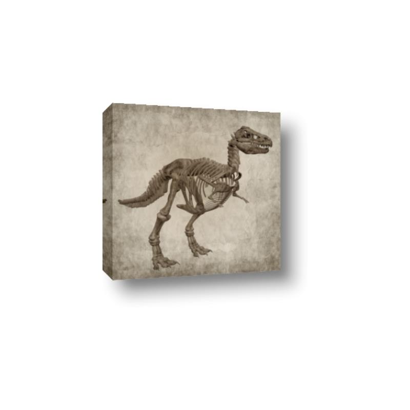 Picture of Dino Skeleton II _GroupedProduct_Square_Mini_ _GroupedProduct_Square_Canvas_