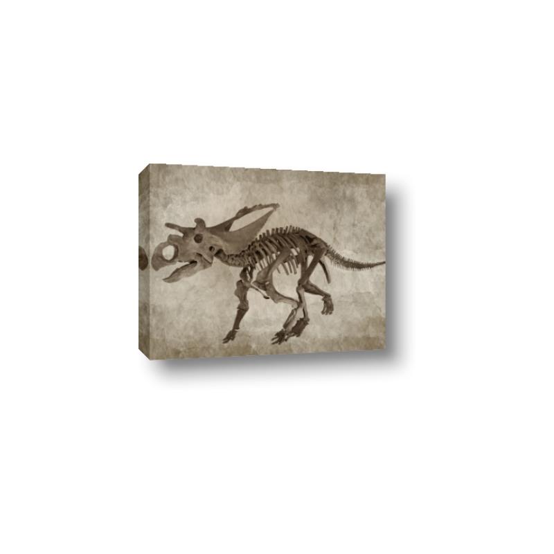 Picture of Dino Skeleton III _GroupedProduct_Rectangle_Landscape_Mini_ _GroupedProduct_Rectangle_Landscape_Canvas_