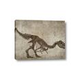 Picture of Dino Skeleton IV _GroupedProduct_Rectangle_Landscape_Mini_ _GroupedProduct_Rectangle_Landscape_Canvas_