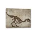 Picture of Dino Skeleton IV _GroupedProduct_Rectangle_Landscape_Mini_ _GroupedProduct_Rectangle_Landscape_Canvas_