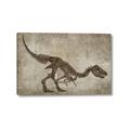 Picture of Dino Skeleton IV _GroupedProduct_Rectangle_Landscape_Mini_ _GroupedProduct_Rectangle_Landscape_Canvas_