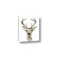 Picture of Baby Deer with Short Tie _GroupedProduct_Rectangle_Portrait_Mini_ _GroupedProduct_Rectangle_Portrait_Canvas_