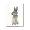 Picture of Brown Bunny _GroupedProduct_Rectangle_Portrait_Mini_ _GroupedProduct_Rectangle_Portrait_Canvas_
