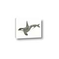 Picture of Orca Whale _GroupedProduct_Rectangle_Landscape_Mini_ _GroupedProduct_Rectangle_Landscape_Canvas_