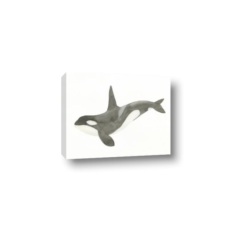 Picture of Orca Whale _GroupedProduct_Rectangle_Landscape_Mini_ _GroupedProduct_Rectangle_Landscape_Canvas_