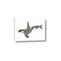 Picture of Orca Whale _GroupedProduct_Rectangle_Landscape_Mini_ _GroupedProduct_Rectangle_Landscape_Canvas_