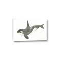 Picture of Orca Whale _GroupedProduct_Rectangle_Landscape_Mini_ _GroupedProduct_Rectangle_Landscape_Canvas_