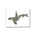 Picture of Orca Whale _GroupedProduct_Rectangle_Landscape_Mini_ _GroupedProduct_Rectangle_Landscape_Canvas_