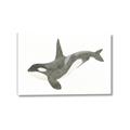 Picture of Orca Whale _GroupedProduct_Rectangle_Landscape_Mini_ _GroupedProduct_Rectangle_Landscape_Canvas_