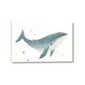 Picture of Blue Whale _GroupedProduct_Rectangle_Landscape_Mini_ _GroupedProduct_Rectangle_Landscape_Canvas_