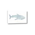 Picture of Blue Whale lll _GroupedProduct_Rectangle_Landscape_Mini_ _GroupedProduct_Rectangle_Landscape_Canvas_