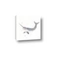 Picture of Narwhal _GroupedProduct_Square_Mini_ _GroupedProduct_Square_Canvas_