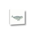 Picture of Spotted Seal _GroupedProduct_Square_Mini_ _GroupedProduct_Square_Canvas_