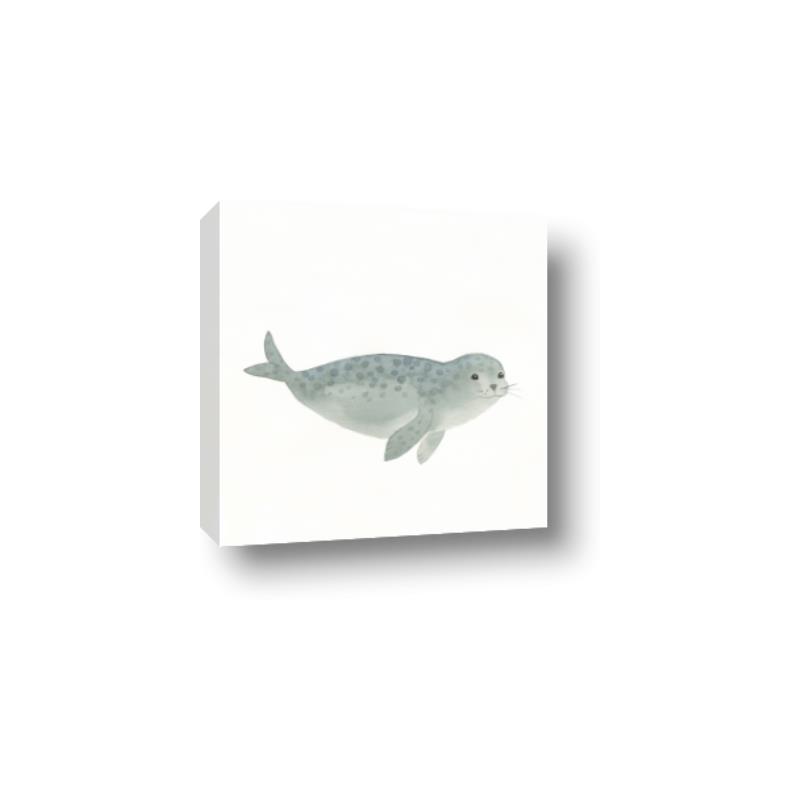 Picture of Spotted Seal _GroupedProduct_Square_Mini_ _GroupedProduct_Square_Canvas_