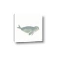 Picture of Spotted Seal _GroupedProduct_Square_Mini_ _GroupedProduct_Square_Canvas_
