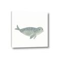 Picture of Spotted Seal _GroupedProduct_Square_Mini_ _GroupedProduct_Square_Canvas_
