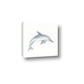Picture of Dolphin _GroupedProduct_Square_Mini_ _GroupedProduct_Square_Canvas_