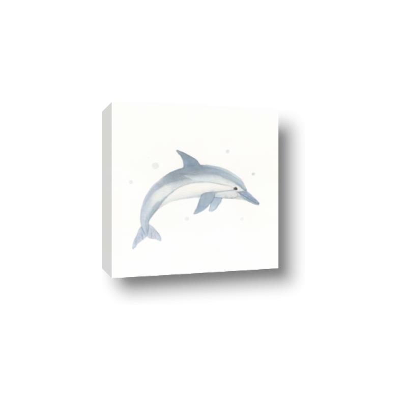 Picture of Dolphin _GroupedProduct_Square_Mini_ _GroupedProduct_Square_Canvas_