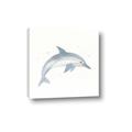 Picture of Dolphin _GroupedProduct_Square_Mini_ _GroupedProduct_Square_Canvas_