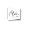 Picture of Jungle Elephant _GroupedProduct_Square_Mini_ _GroupedProduct_Square_Canvas_