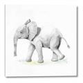 Picture of Jungle Elephant _GroupedProduct_Square_Mini_ _GroupedProduct_Square_Canvas_