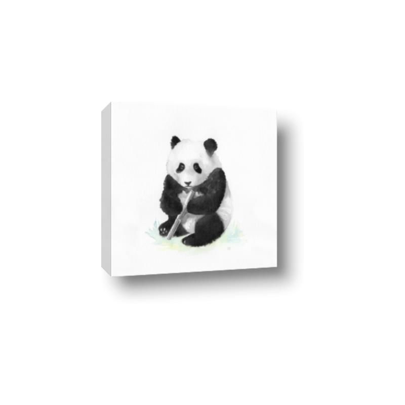 Picture of Jungle Panda _GroupedProduct_Square_Mini_ _GroupedProduct_Square_Canvas_