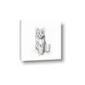 Picture of Jungle Cat _GroupedProduct_Square_Mini_ _GroupedProduct_Square_Canvas_