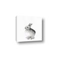 Picture of Bunny II-M _GroupedProduct_Square_Mini_ _GroupedProduct_Square_Canvas_