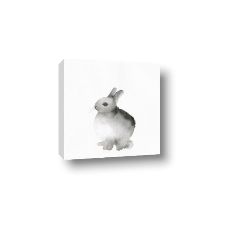 Picture of Bunny II-M _GroupedProduct_Square_Mini_ _GroupedProduct_Square_Canvas_