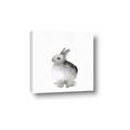 Picture of Bunny II-M _GroupedProduct_Square_Mini_ _GroupedProduct_Square_Canvas_