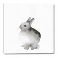 Picture of Bunny II-M _GroupedProduct_Square_Mini_ _GroupedProduct_Square_Canvas_
