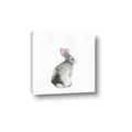 Picture of Bunny I-M _GroupedProduct_Square_Mini_ _GroupedProduct_Square_Canvas_