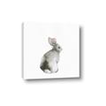 Picture of Bunny I-M _GroupedProduct_Square_Mini_ _GroupedProduct_Square_Canvas_