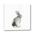 Picture of Bunny I-M _GroupedProduct_Square_Mini_ _GroupedProduct_Square_Canvas_
